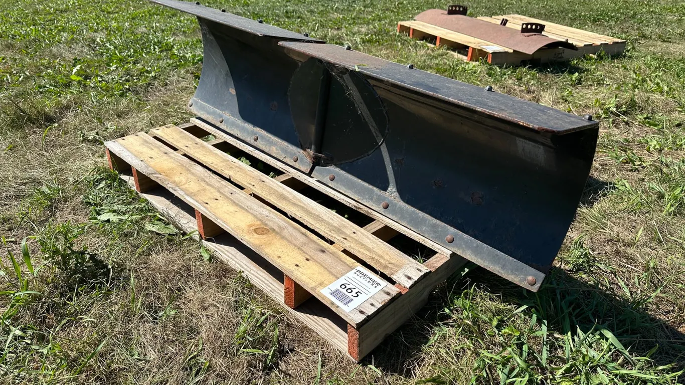 Lot 665