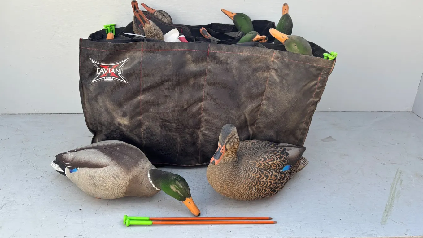 (12) Duck Decoy
