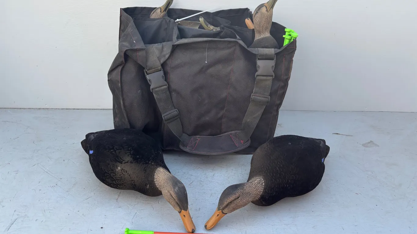 (6) Duck Decoy