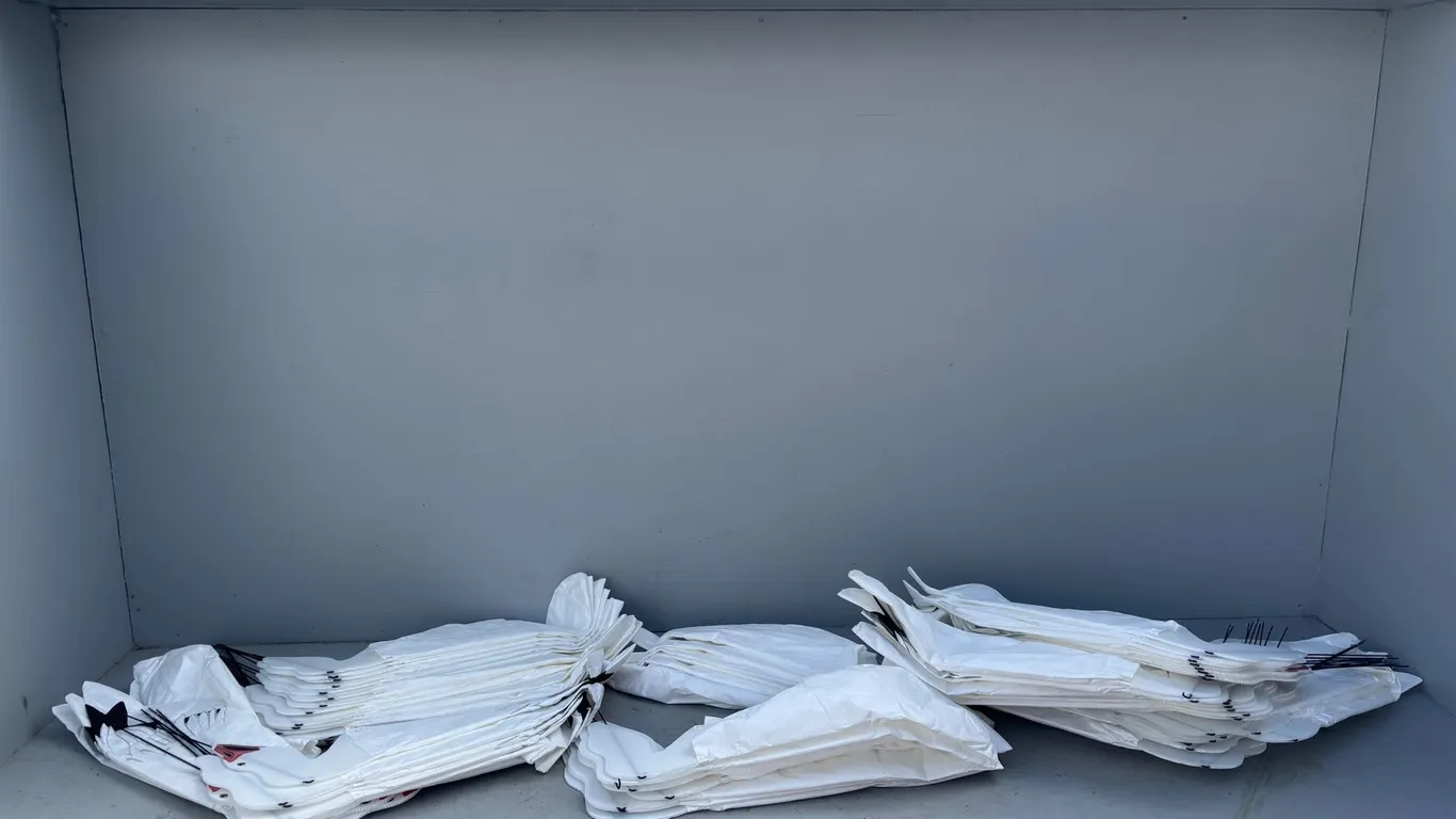 Tote of Snow Geese ad Geese