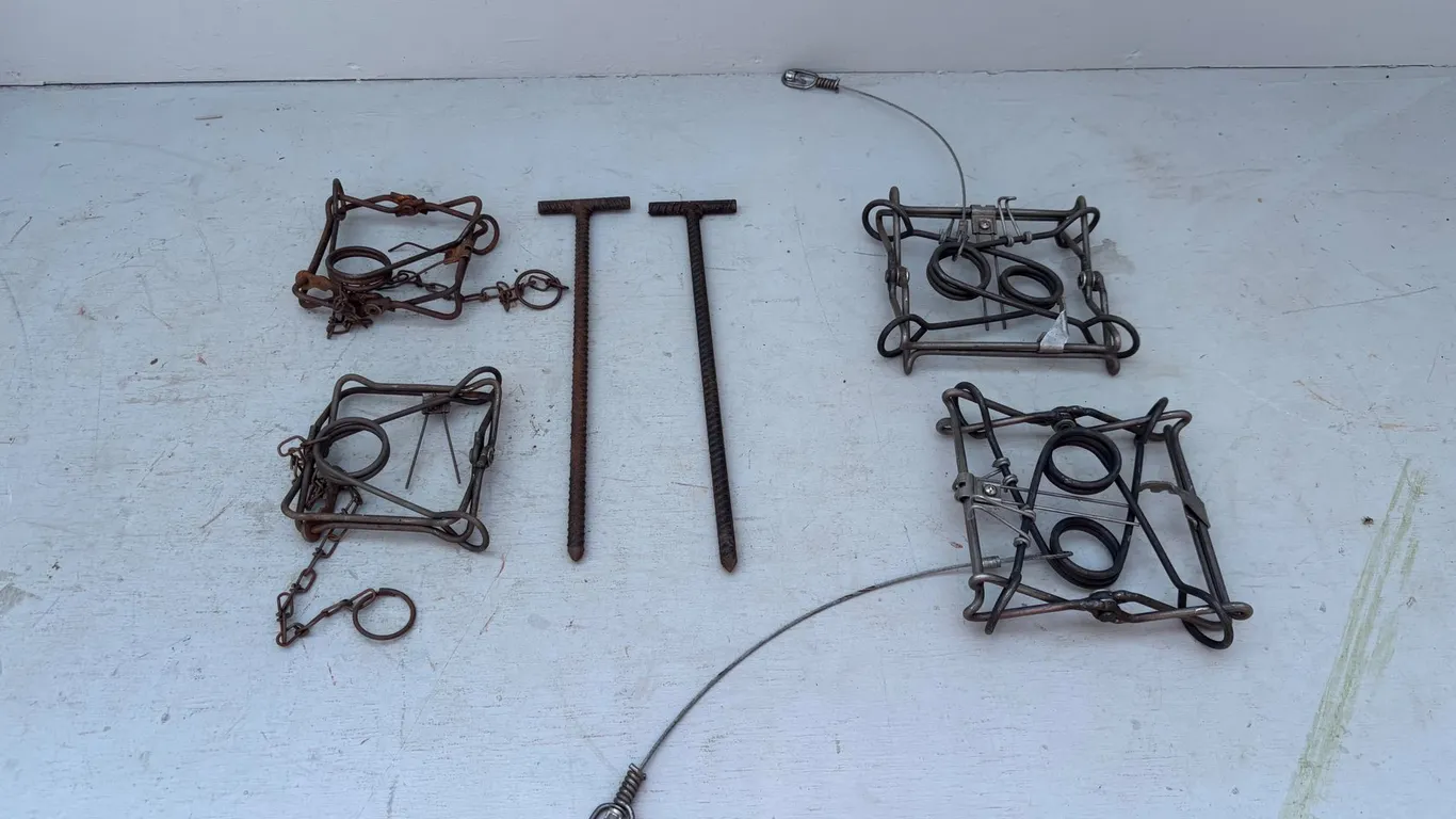 Conibear Snares