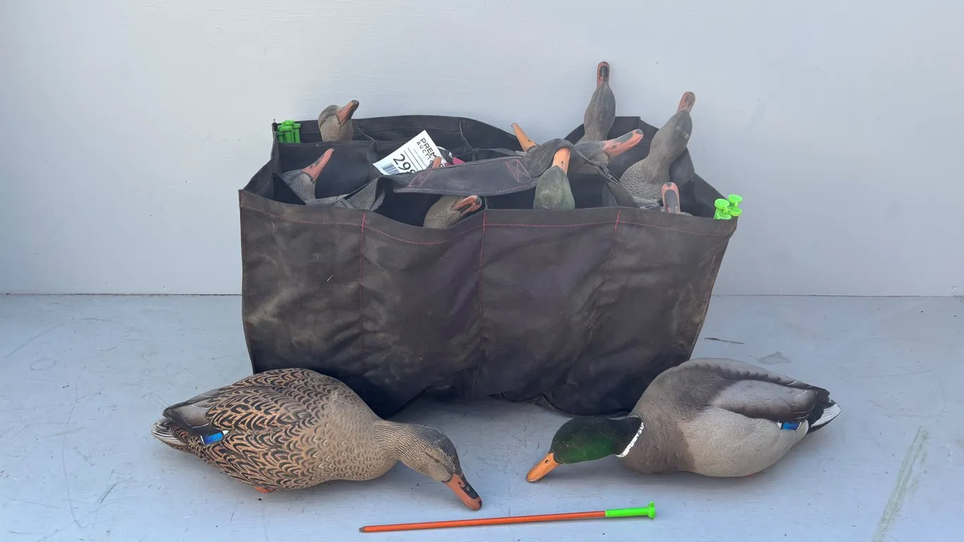 (12) Duck Decoy