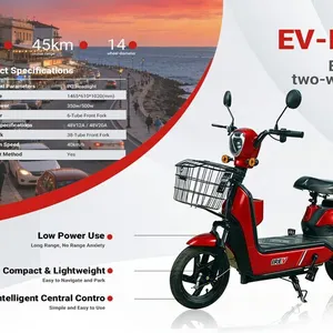 2026 EV-RED Patin Electrico (Sin Usar) / Scooter (Unused)