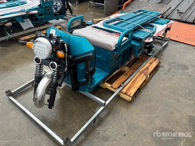 2026 SDLOOL SL-EC15 Electric Trike (Unused)