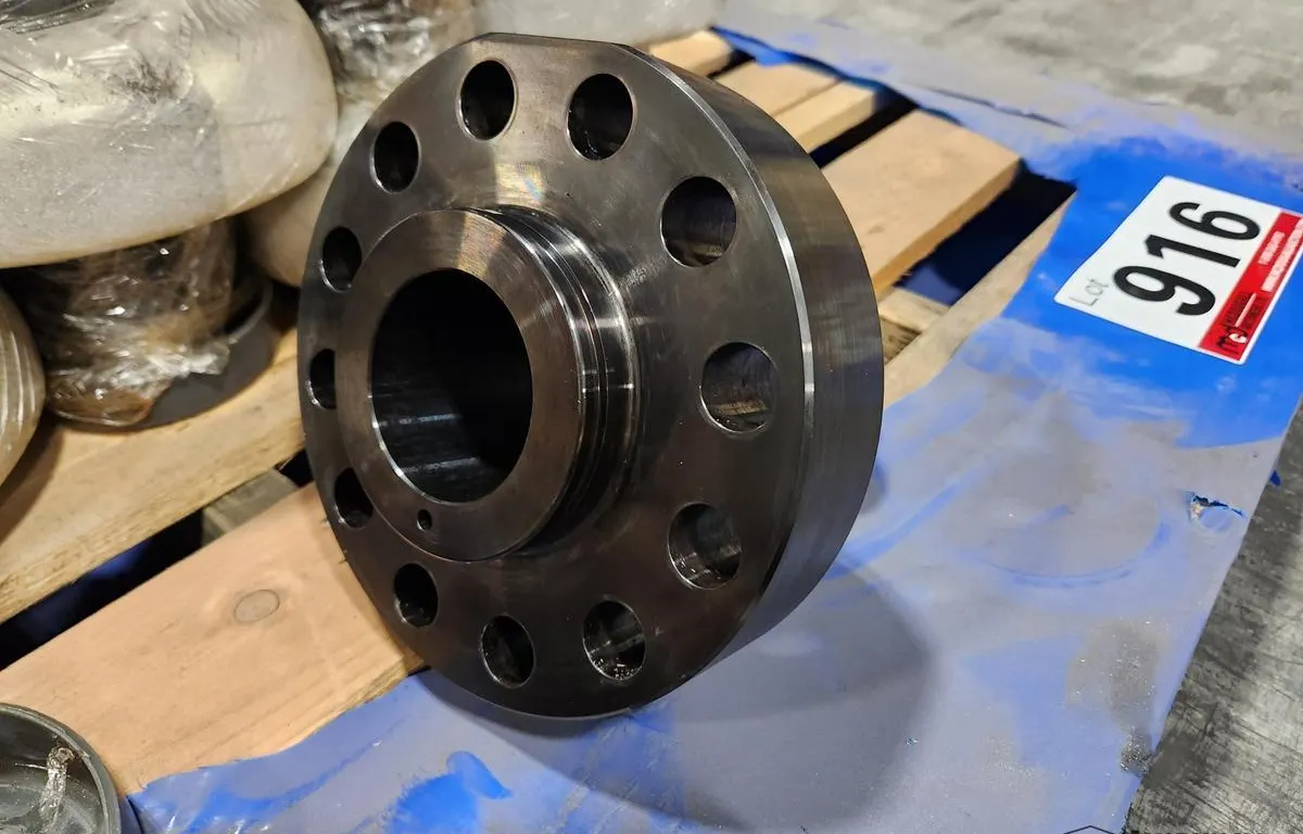 (12) Reverse Flow Flapper Check Valves
UNRESERVED