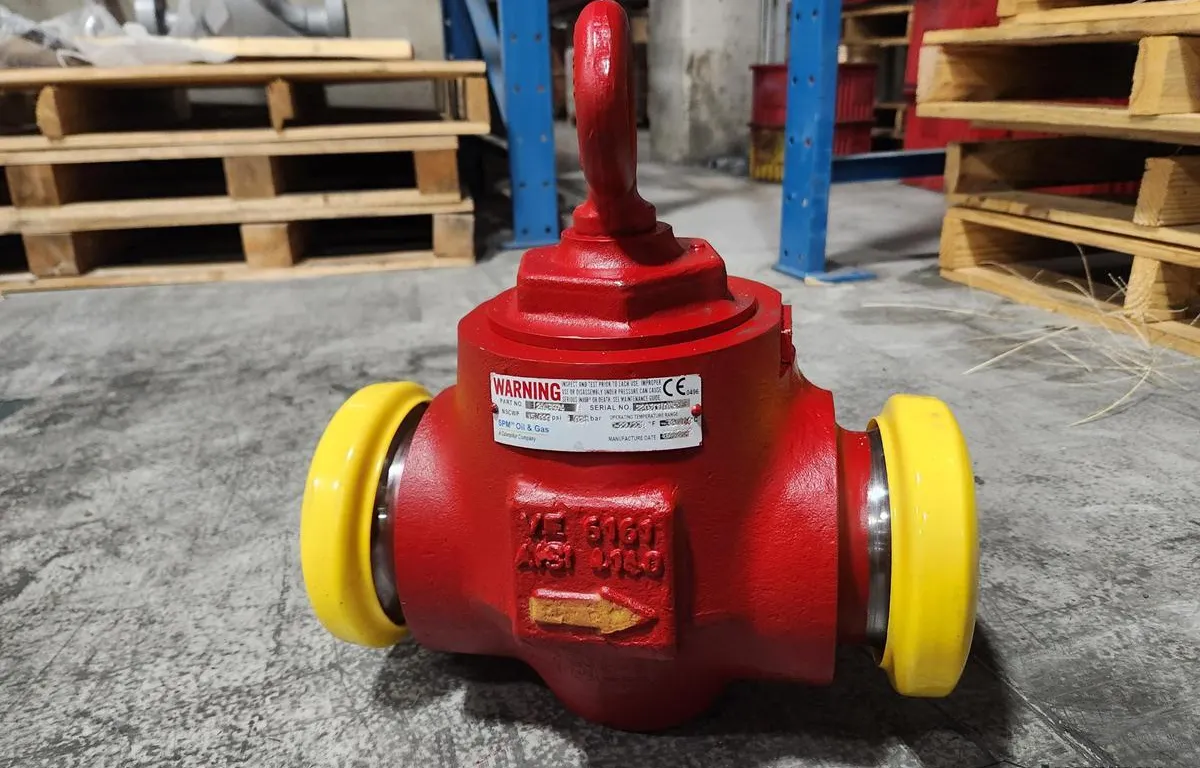 SPM Oil & Gas 6 in 1500 PSI Check Valve
UNRESERVED