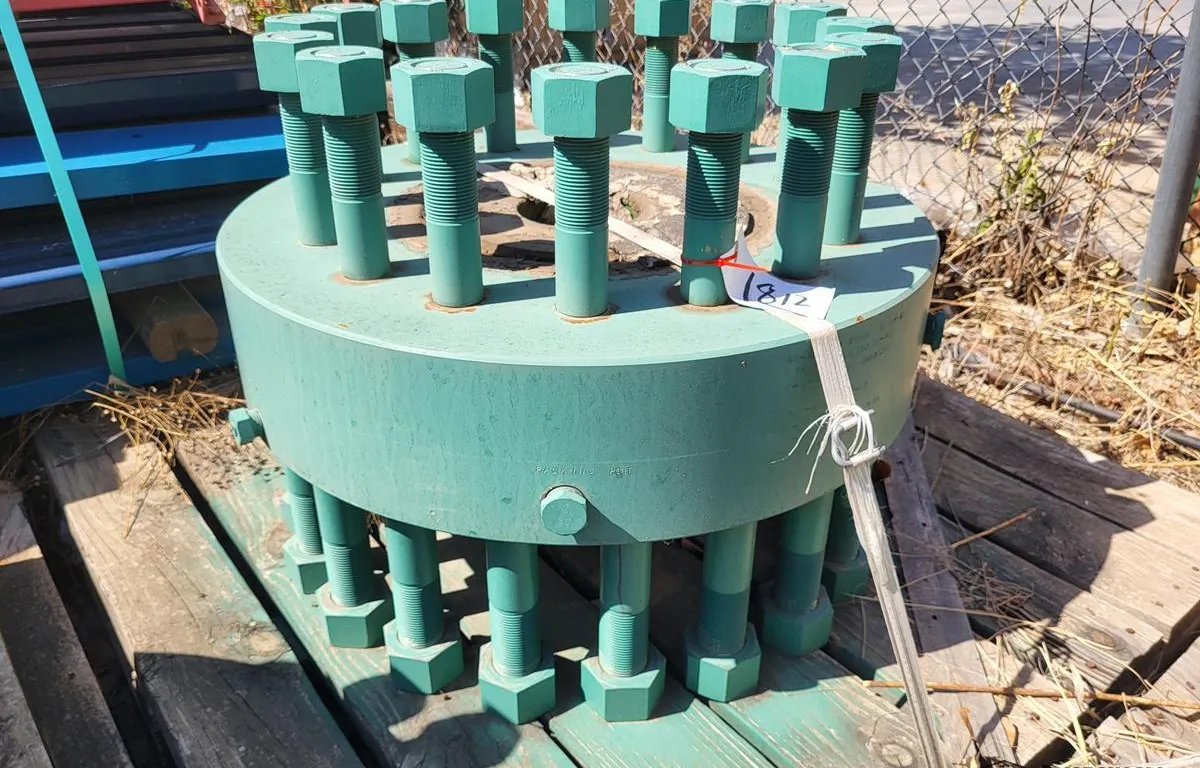 Wellhead Tubing Head Spool
UNRESERVED