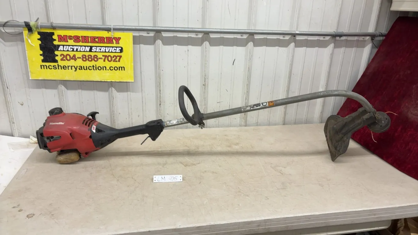 Homelite DX Series Gas-Powered String Trimmer With Loop Handle