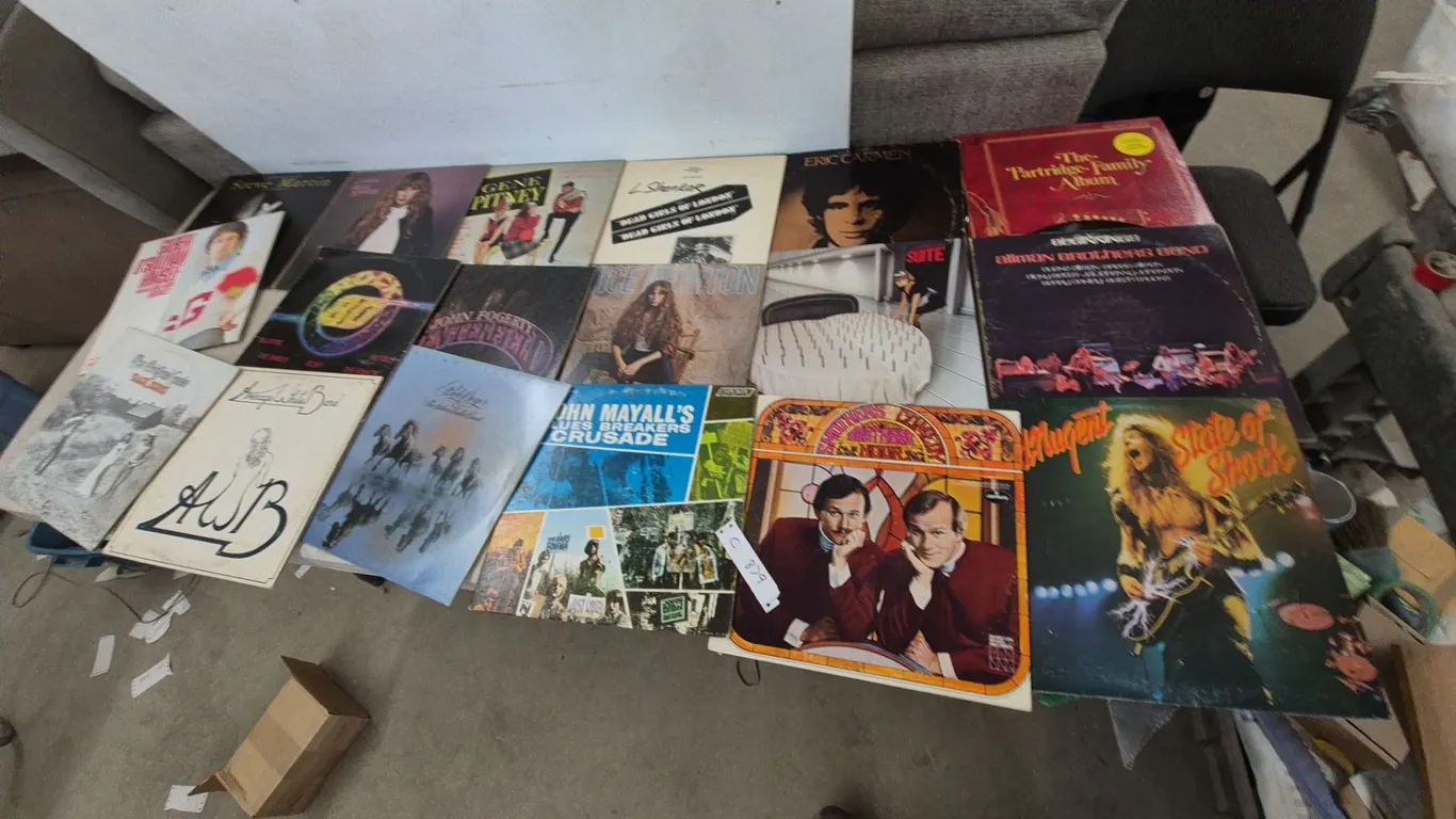 Vintage Vinyl Record Album Collection: John Mayall, Bob Seger, Steve Martin