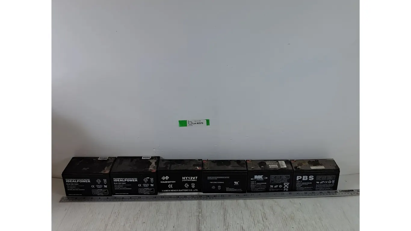 (6) 12-Volt Batteries, (5) Rechargeable, IdealPower, MK Powered, PBS