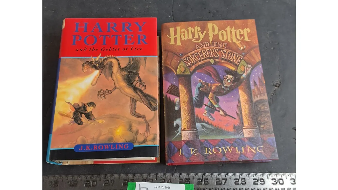 (2) Harry Potter Novels