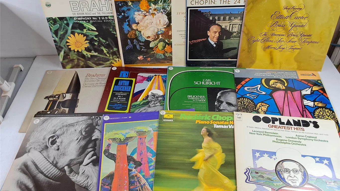 Assorted Vinyl Records - Copland, Brailowsky, Branson, Misc