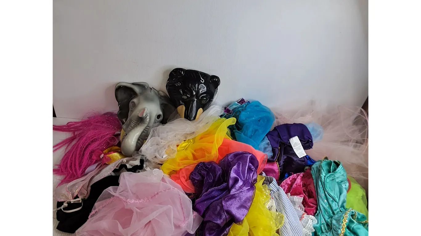 Assorted Children's Costumes & Accessories - Mostly Princess Dresses