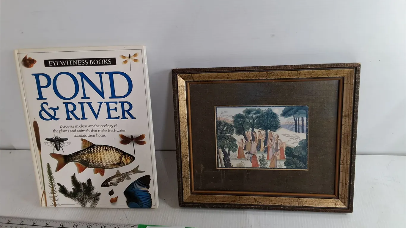 Eyewitness Pond & River Book and Framed South Asian Style Print 11.5" x 9.75"