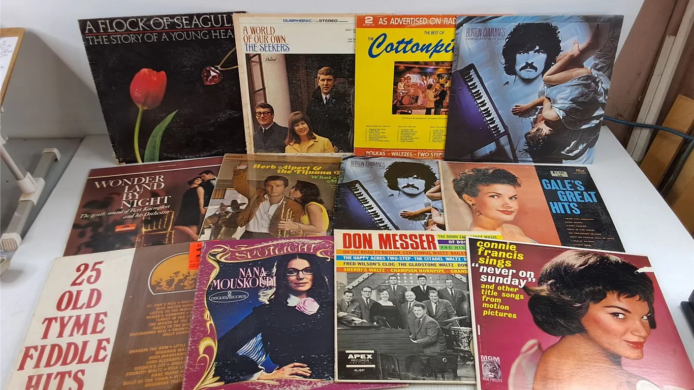 Assorted Vinyl Records - Burton Cummings, Nana Mouskouri, Gales Great Hits, Misc