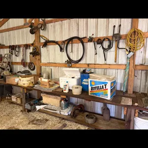 Assorted Automotive and Shop Supplies Lot
