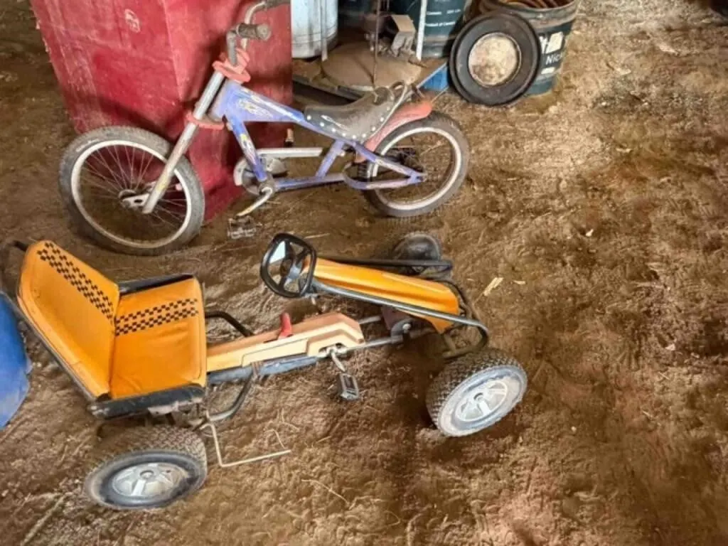 Pedal Cart and Bicycle
