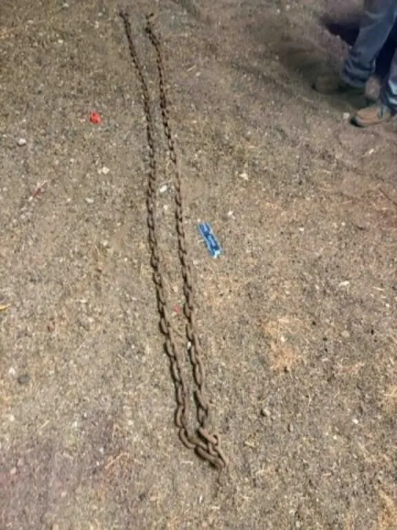 Chain With Hooks 16’ and 10