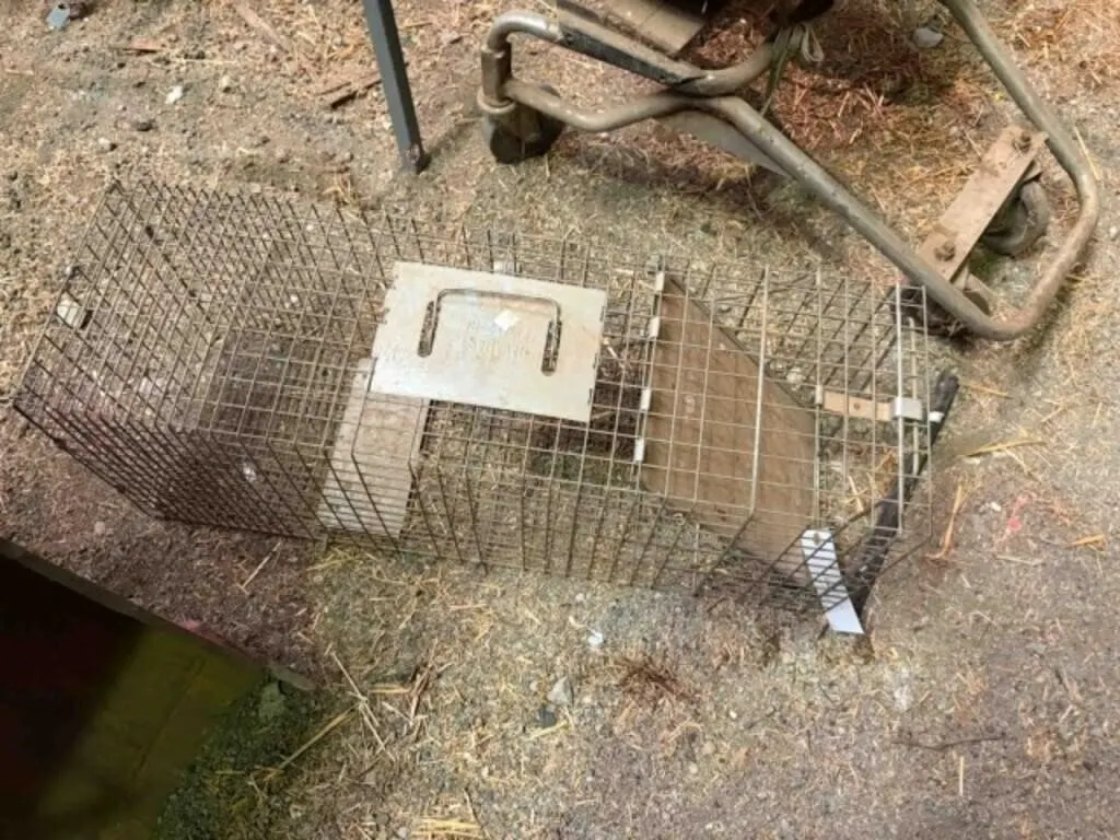 Small Animal Trap