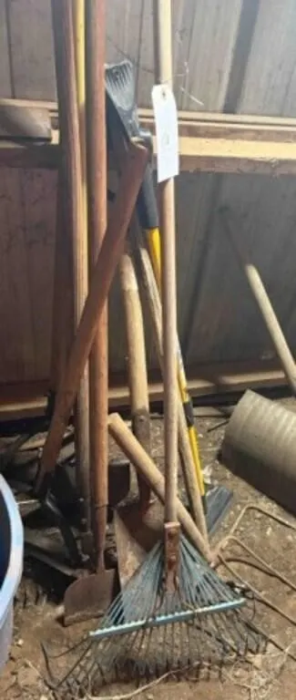 Yard Tools: rake, weed whacker, shovel
