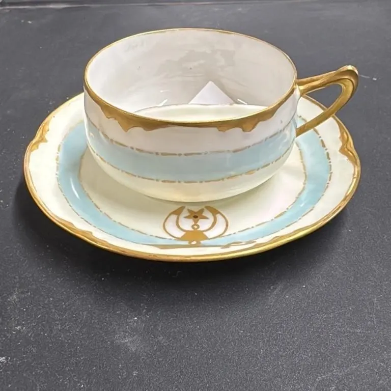 Vintage Bavaria Cup and Saucer Set Alice 1909 E.E.