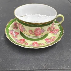 Vintage C.T. Altwasser Flora Handpainted Teacup an