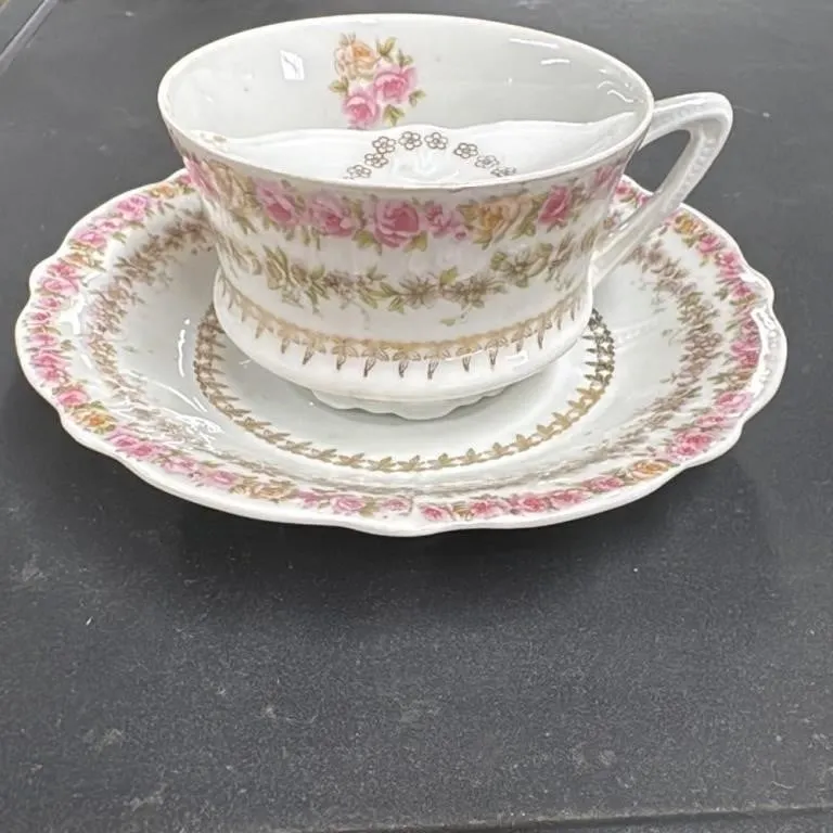 CT Germany Porcelain Tea Cup and Saucer Set Pink R