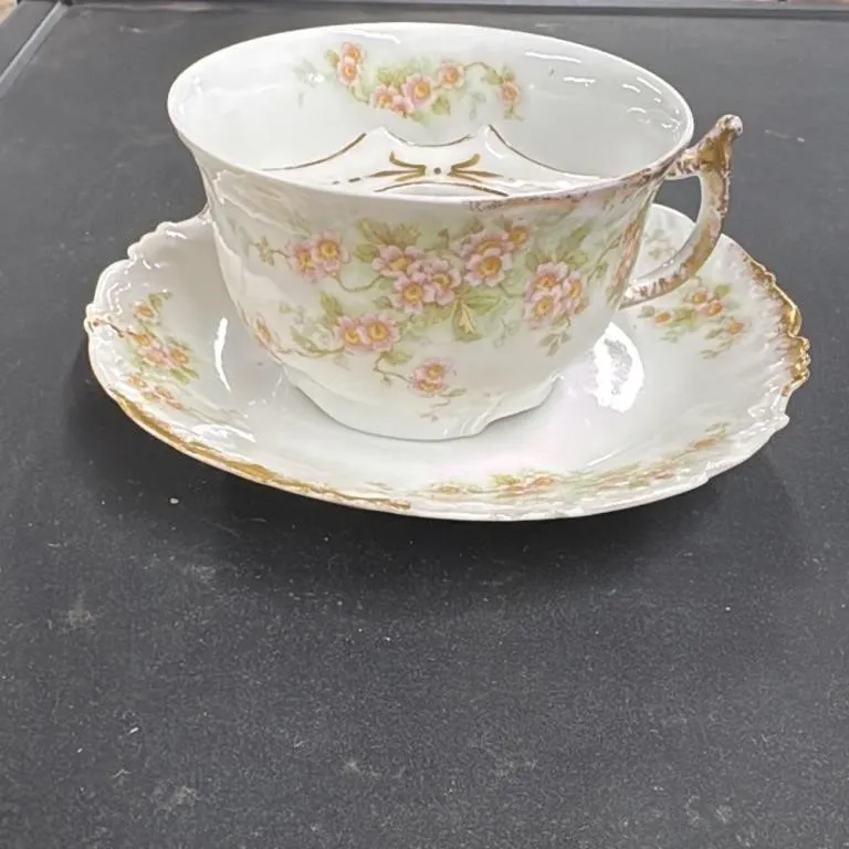 Elite Limoges France Porcelain Tea Cup and Saucer