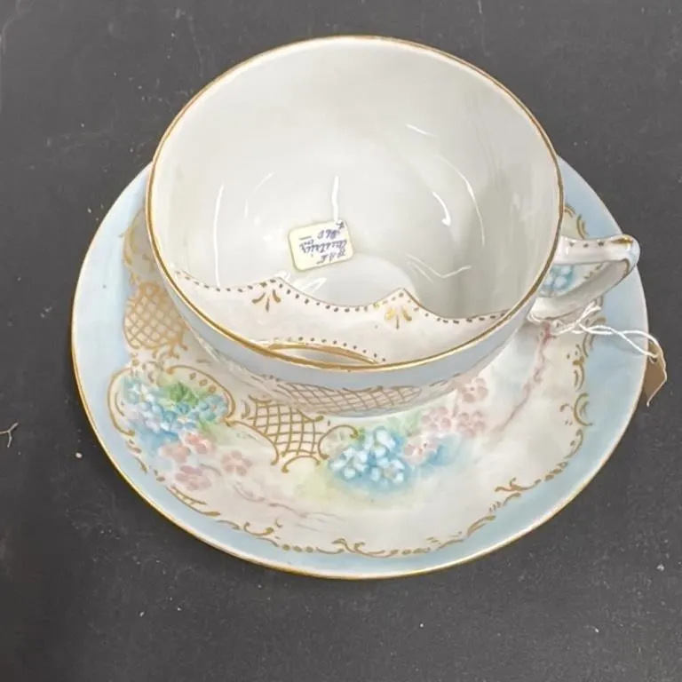 Royal Austria Porcelain Teacup and Saucer Set