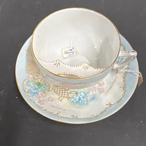 Royal Austria Porcelain Teacup and Saucer Set