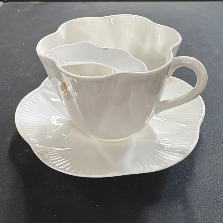 Foley China Teacup and Saucer Set England R272101