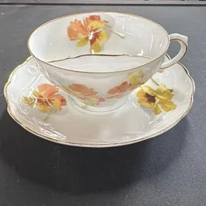 Vintage B.R.C. Porcelain Tea Cup and Saucer Floral