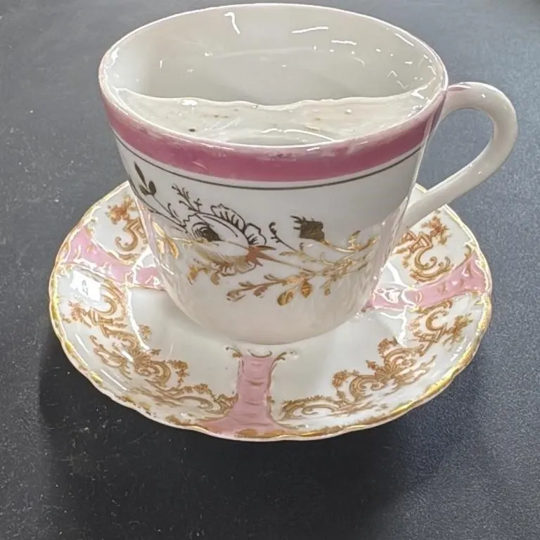 Haviland & Co. Limoges France Tea Cup and Saucer S