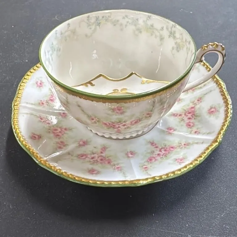 Elite Limoges France Porcelain Tea Cup and Saucer