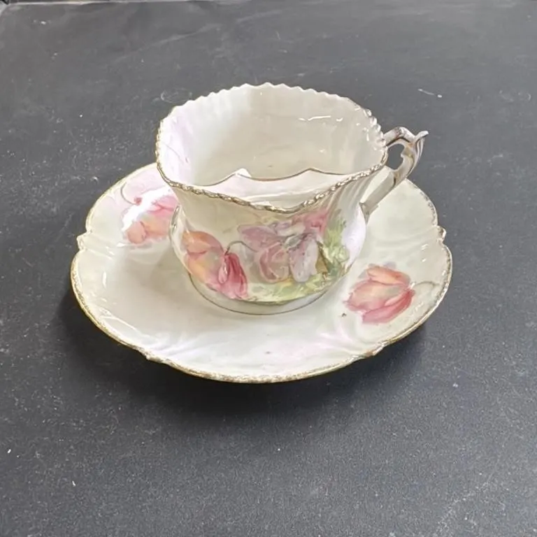 RS Prussia Teacup and Saucer Floral Hand Painted G