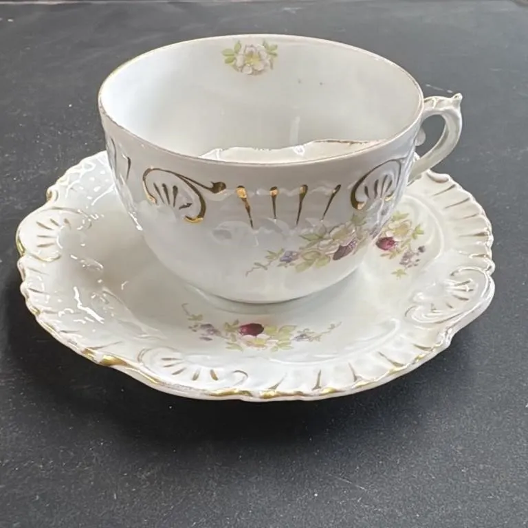 Carlsbad BFHS China Cup and Saucer Set Floral Gold