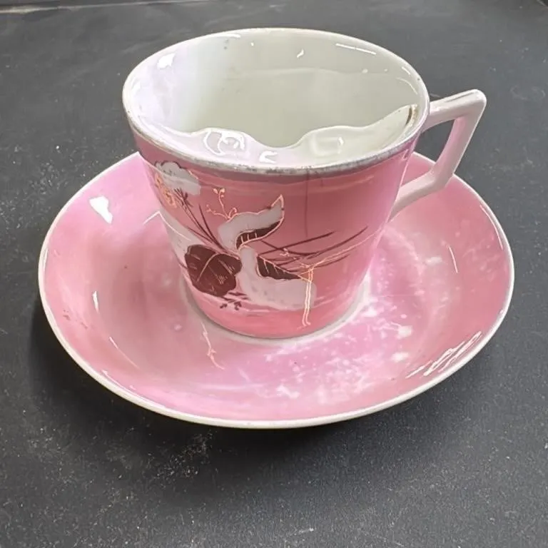 Vintage Pink Cup and Saucer Set with Crane Design