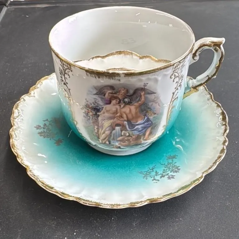 Royal Bavaria Porcelain Teacup and Saucer Set