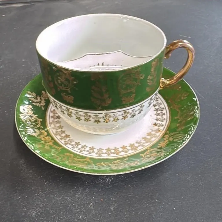 Victoria Carlsbad Austria Mustache Cup and Saucer