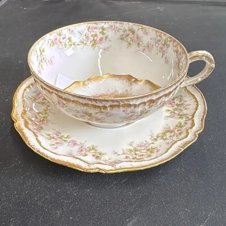 Theodore Haviland Limoges France Teacup and Saucer