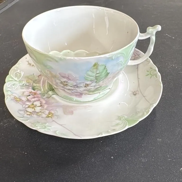 Vintage J.P. France Hand Painted Floral Teacup and