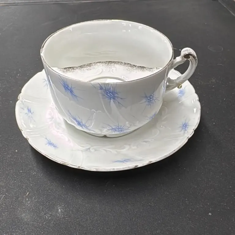 Vintage Weimar Germany Porcelain Teacup and Saucer