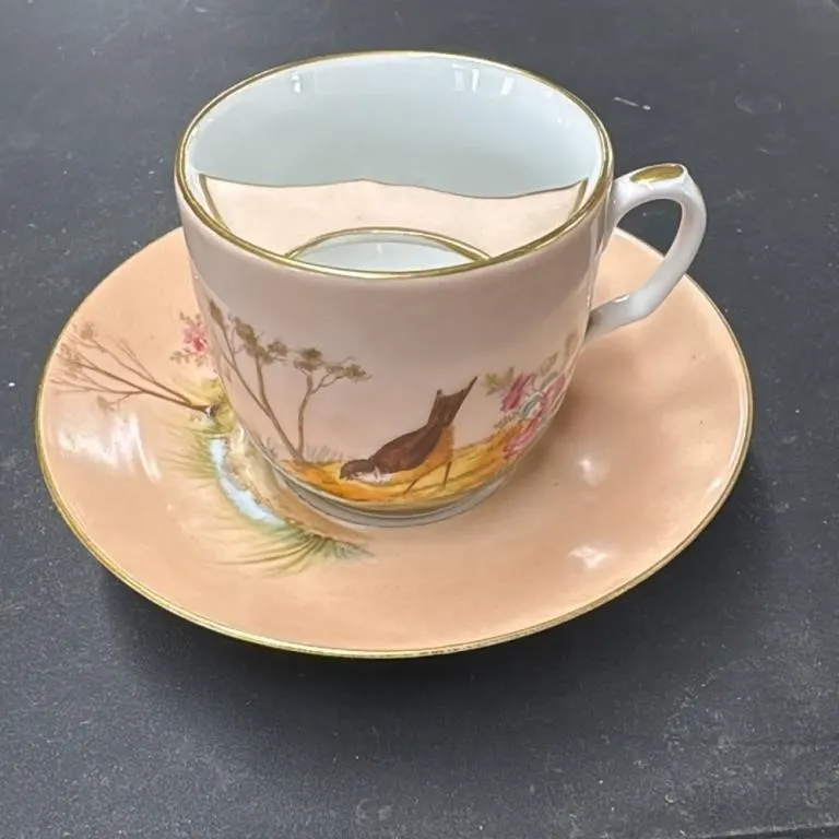 Haviland Limoges Porcelain Cup and Saucer Set with