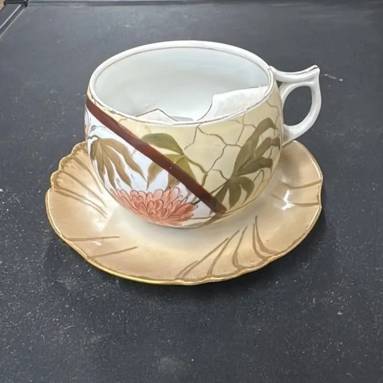 Vintage Porcelain Cup and Saucer Set with Floral D
