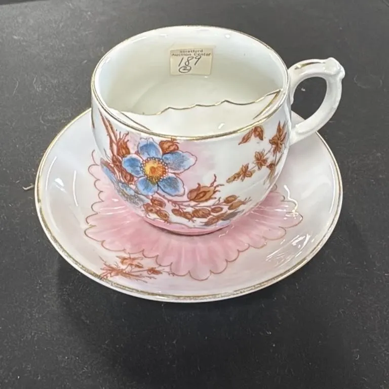 Vintage German Porcelain Tea Cup and Saucer Set Fl