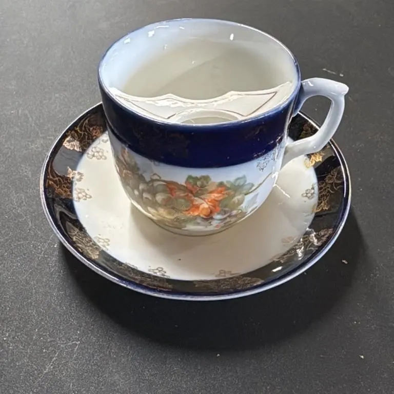 Vintage Porcelain Teacup and Saucer Set Blue Flora