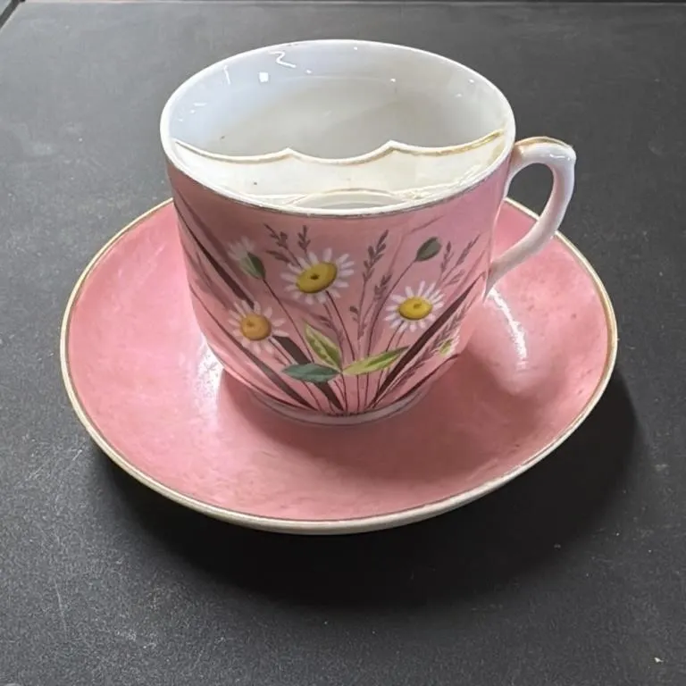 Vintage Pink Daisy Teacup and Saucer Set