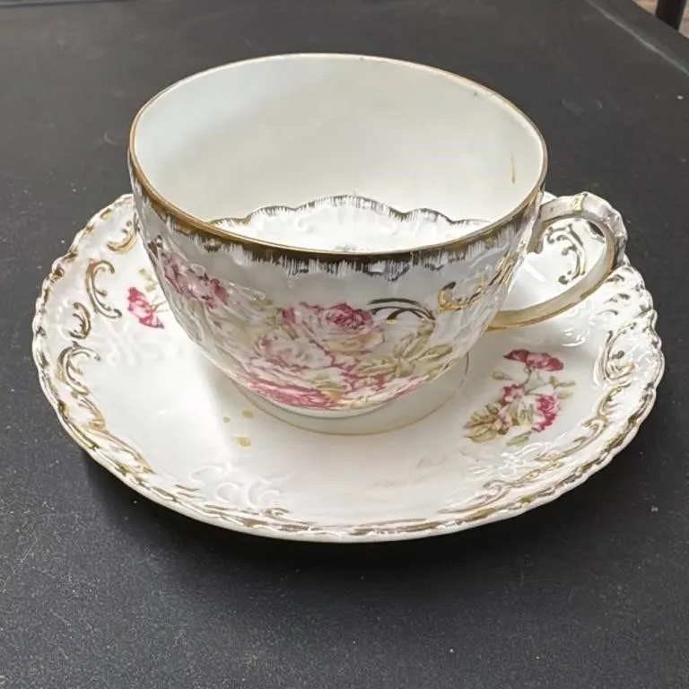 Vintage Porcelain Teacup and Saucer Set with Flora