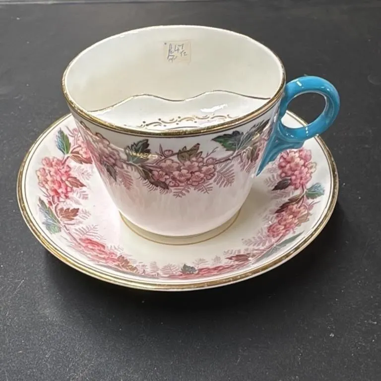 Vintage Porcelain Teacup and Saucer Set with Flora