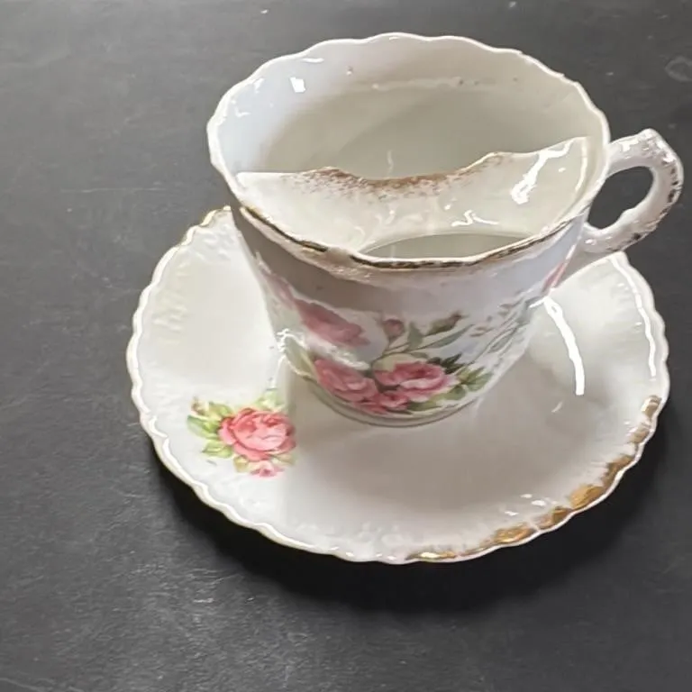 Vintage Rose Patterned Teacup and Saucer Set